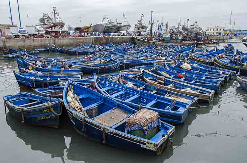 289 - Marruecos - Essaouira - puerto pesquero